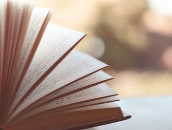 The Anatomy of a Book