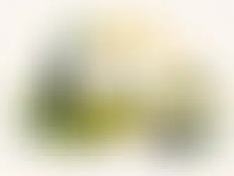 What Color Is Real Extra Virgin Olive Oil?