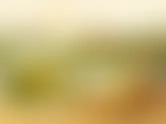 What Makes Umbrian Olive Oil Unique in Your Kitchen?