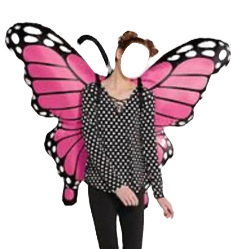 Alas inflables Mariposa
