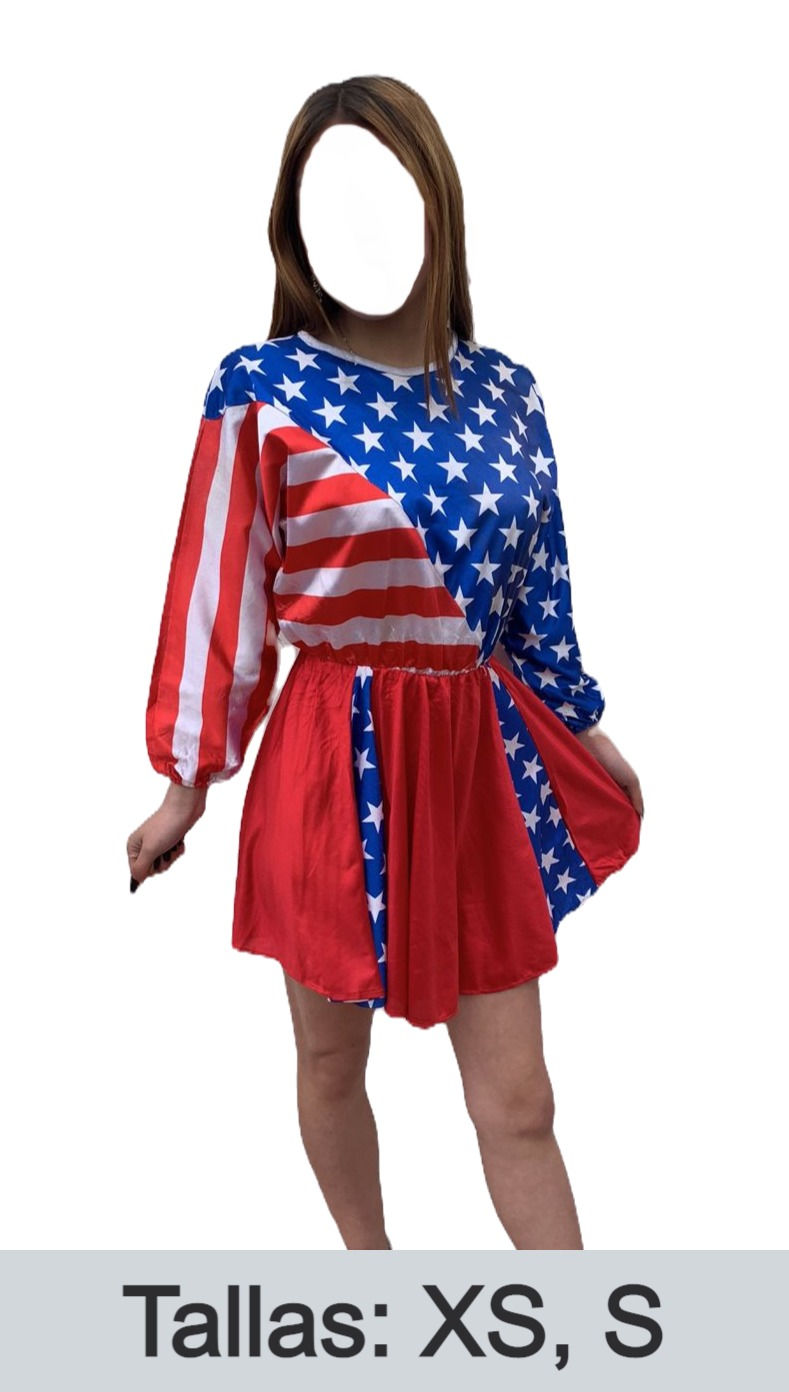 Bandera USA Estados Unidos