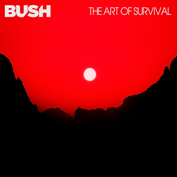 bush2020_photo_gal_60179_photo_1296465592.jpeg