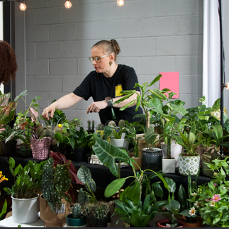 Lauren helping plant customers
