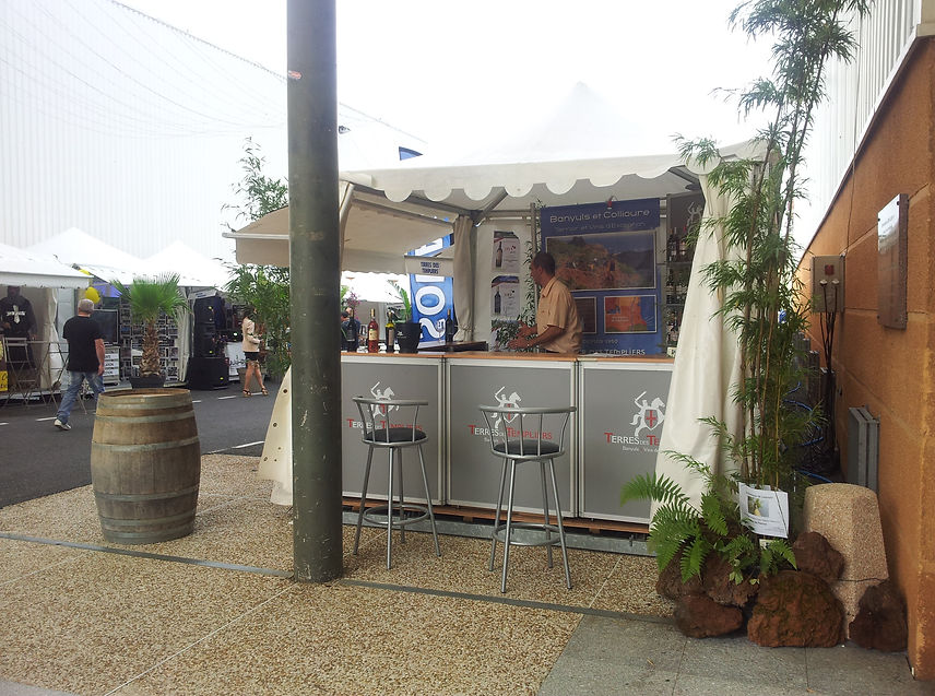 Bambou Terre des Templiers Foire économique de Castres