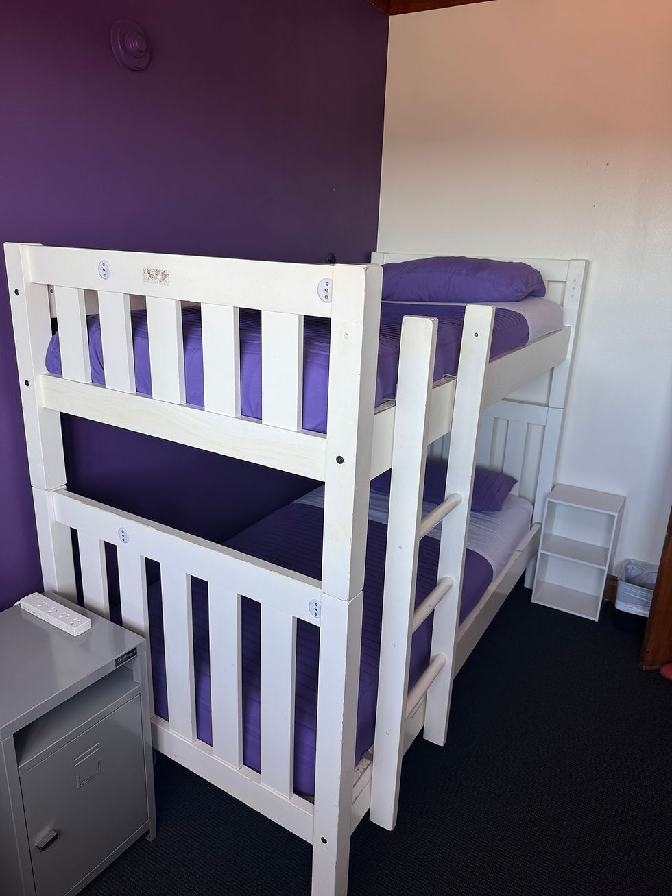 bunk bed in purple room