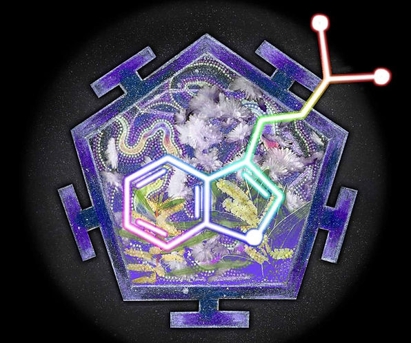 DMT