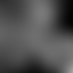 2025/3/7 (五) 義大利橘酒之王Damijan達米揚:酒莊代表來台