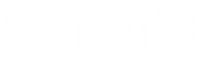 pagfix logo.png