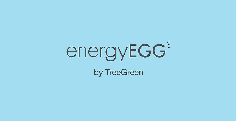 Energy EGG