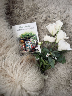 la librería en la colina