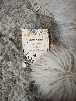 la teoría de los archipiélagos