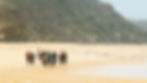 Surf Camp Portugal Peniche