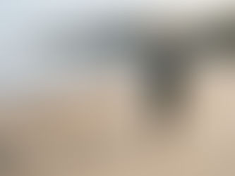 Surfer walking Portugal coast at sunrise