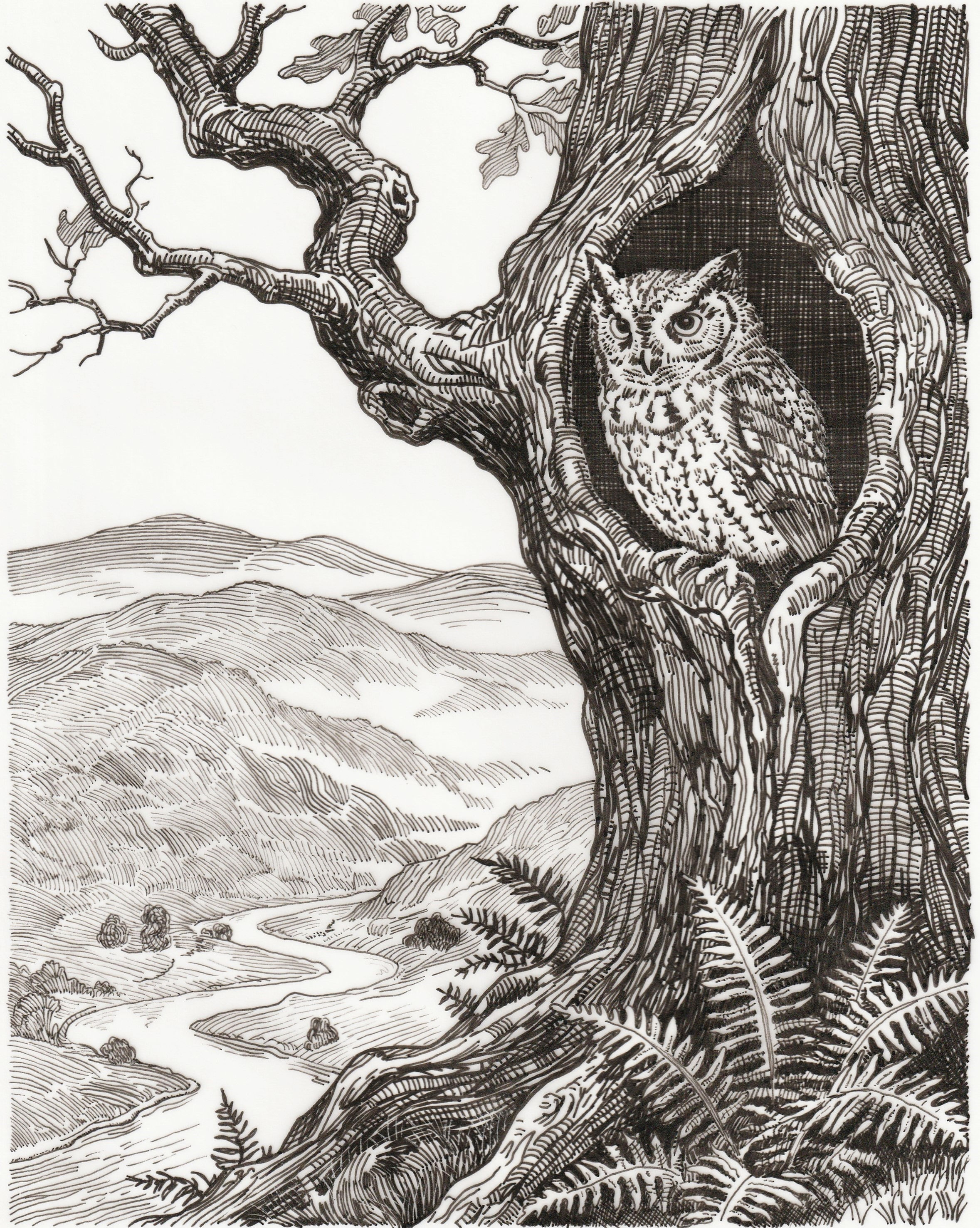 Screech in the Hollow