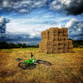IMG_1107.jpeg