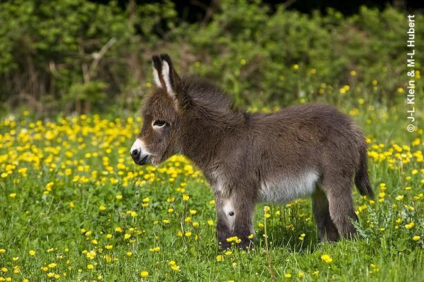 Vis ma vie de correctrice #5