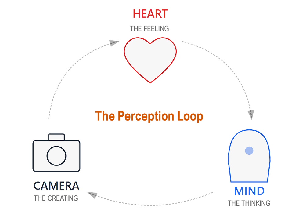 heart mind camera new.png