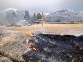 雪が融けて田んぼの準備が始まりました。畔焼きで決意の「のろし上げ」です