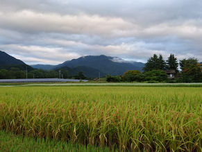 ใใใใ็จฒๅใใงใ