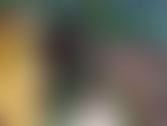 ミツバチが分蜂して捕獲成功しました