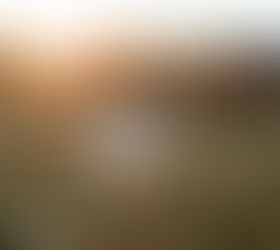 明けあしておめでとうございます。今年も宜しくお願い致します。