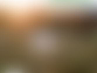 明けあしておめでとうございます。今年も宜しくお願い致します。