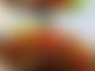 Grilled Bruschetta Chicken