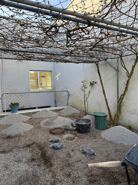 WhatsApp Bild 2025-04-13 um 19.15.15_3361109c.jpg