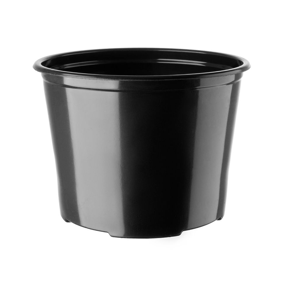 Miniatura: Maceta Termoformada Nº17