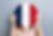 tinywow_French flag_73818278.png