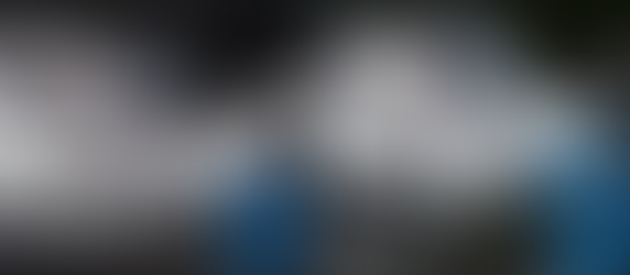 Bharat NCAP: India's Favourite EVs Certified Five-Star Safe