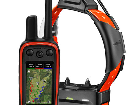 🎯 Utiliser un GPS de chasse Garmin couplé à une montre : le duo parfait pour une chasse maîtrisée