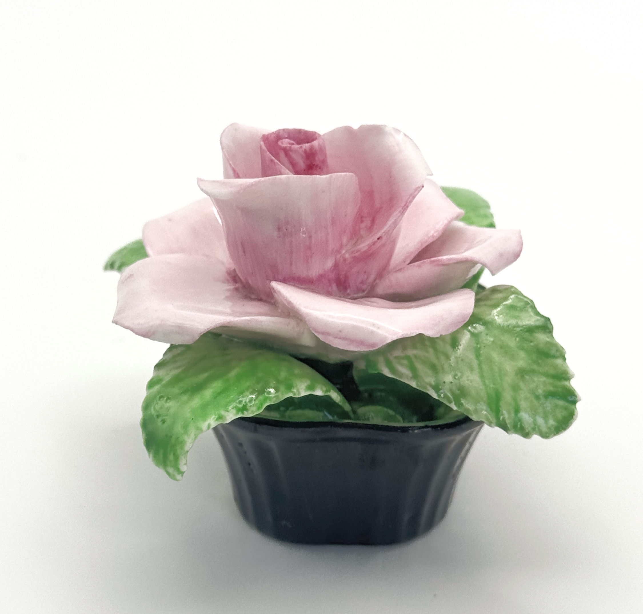 Coalport Bone China Pink Rose in Vase