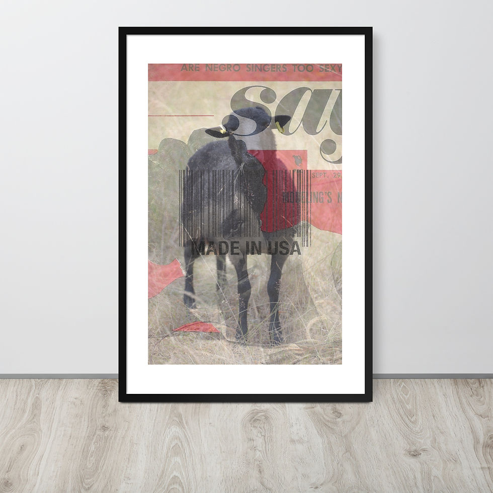 Framed poster -Marred