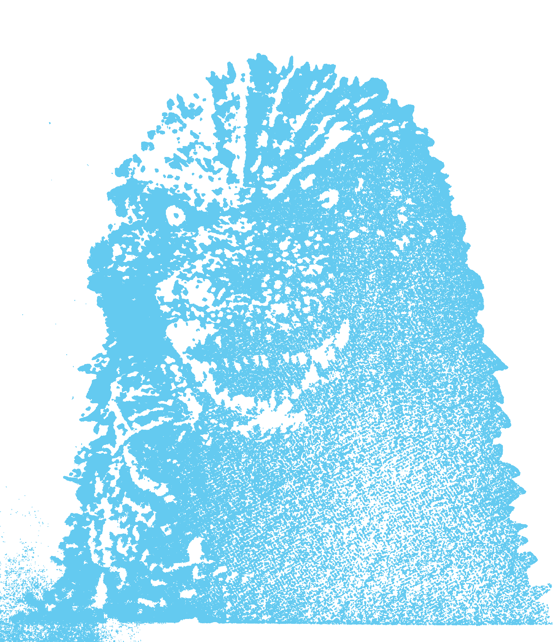 Rubber Stamp Collection（ラバースタンプコレクション）｜東京製版