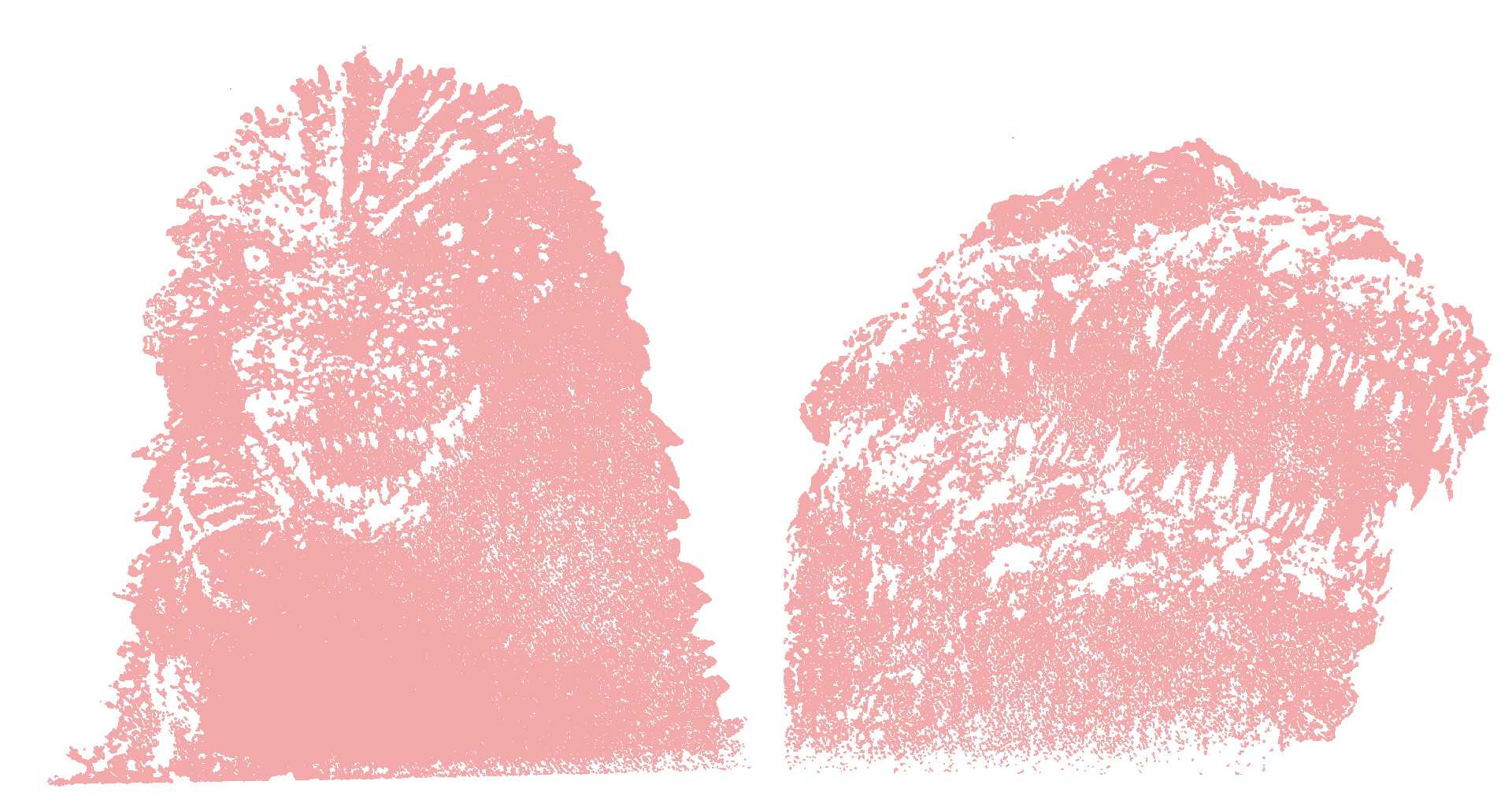 Rubber Stamp Collection（ラバースタンプコレクション）｜東京製版