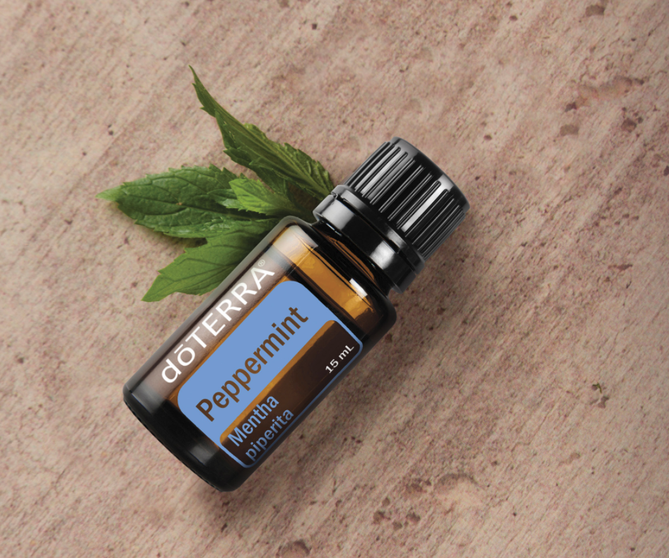Olio menta doTERRA