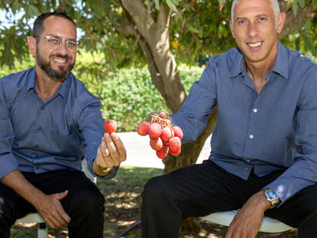 למה?