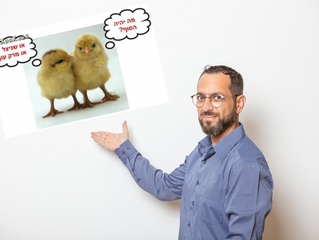 תקציב 2024