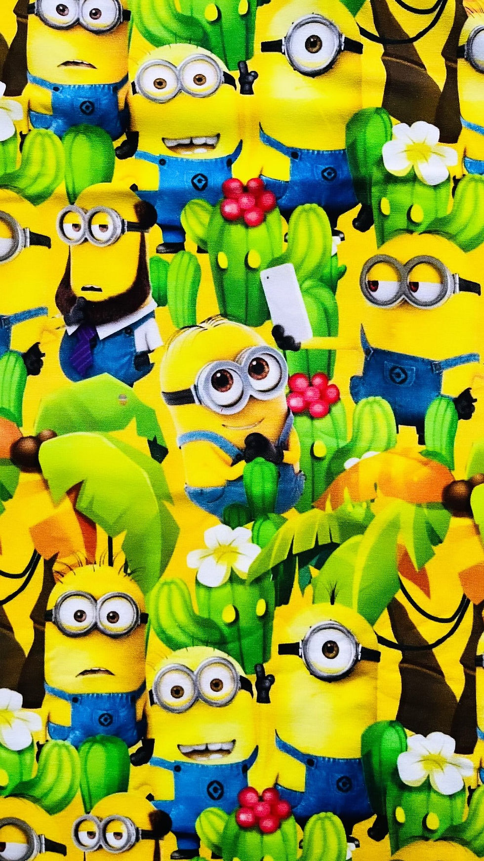 441460839_18265746274209813_4221072010585397799_n