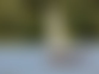 Saltkoppen slutade med klara segrare