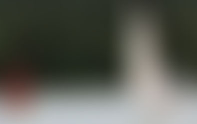 Robin tog segern i andra Saltkoppen