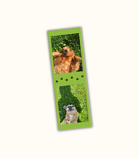 Website Icons (5).png