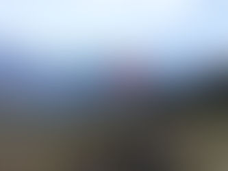 No longer afraid to try and let go.....