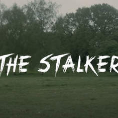 The Stalker: The Woods are Never Solitary