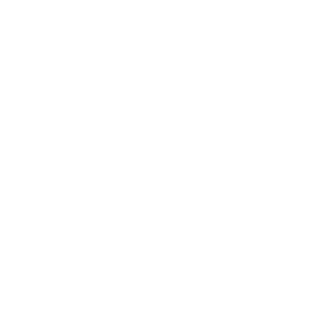 Automatische controle .webp