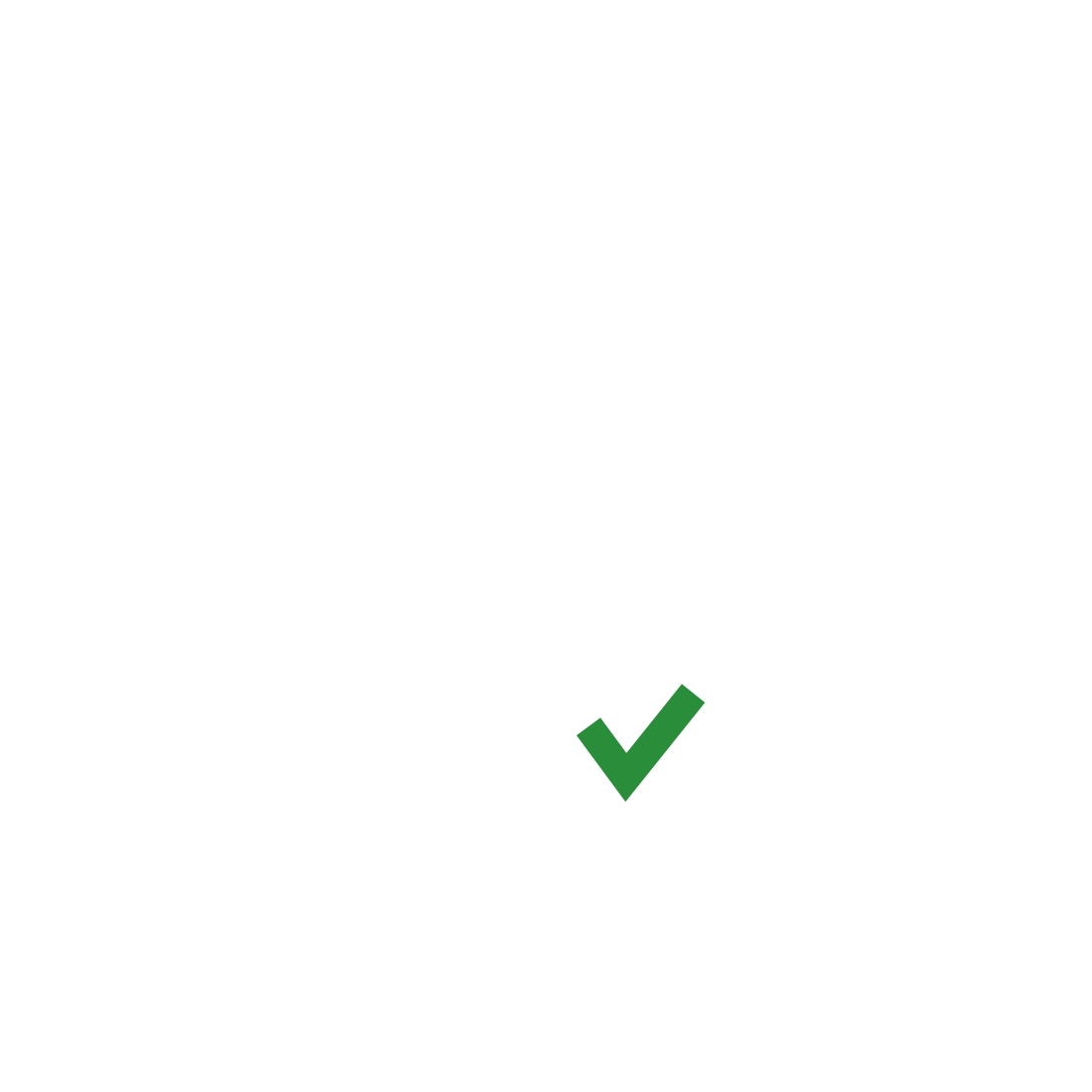 Veilig betalen .webp