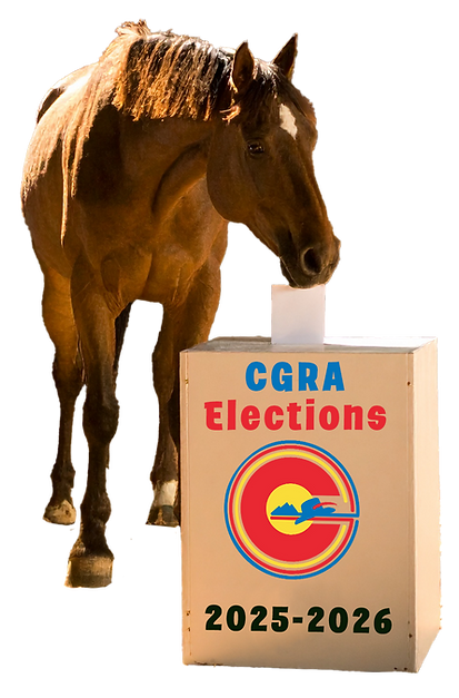 horseballot.png
