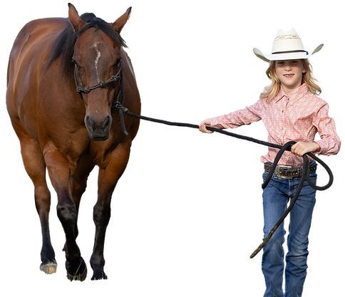 girlhorse.png