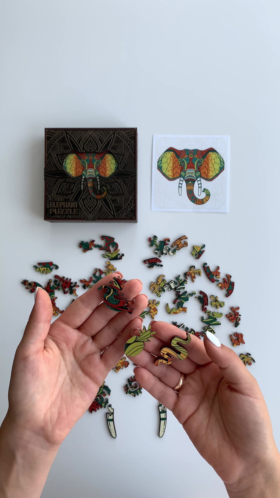 Miniatură: Elefantul — 70 piese